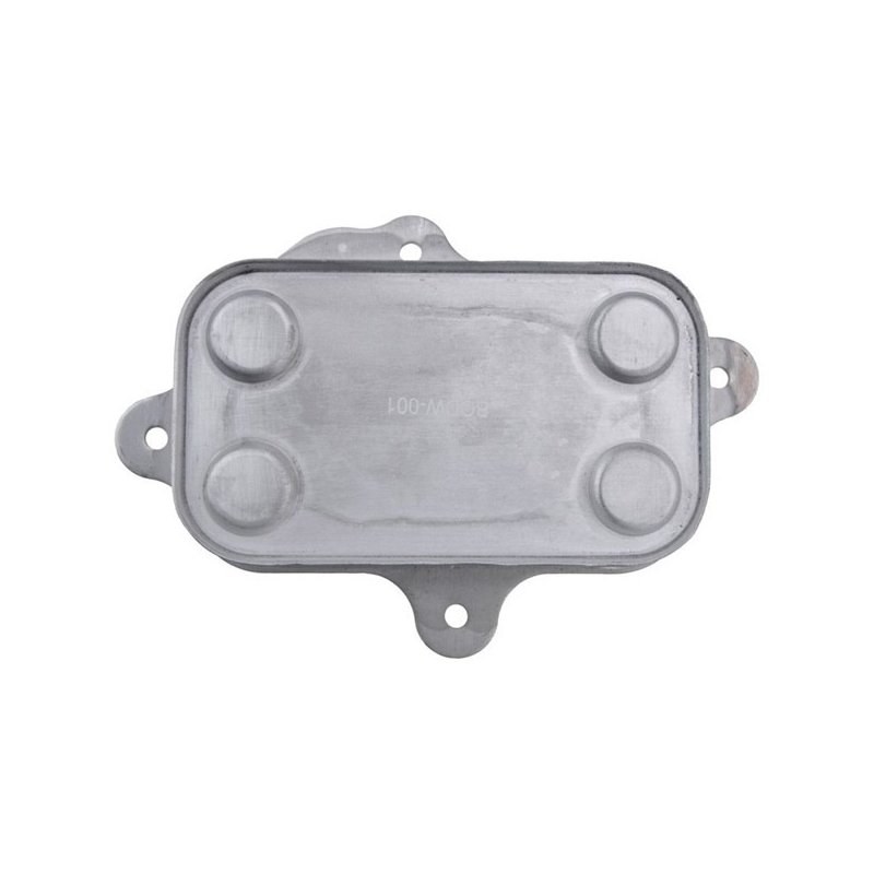 Refroidisseur d'huile moteur pour SSANGYONG OE 6641800265 Aftermarket