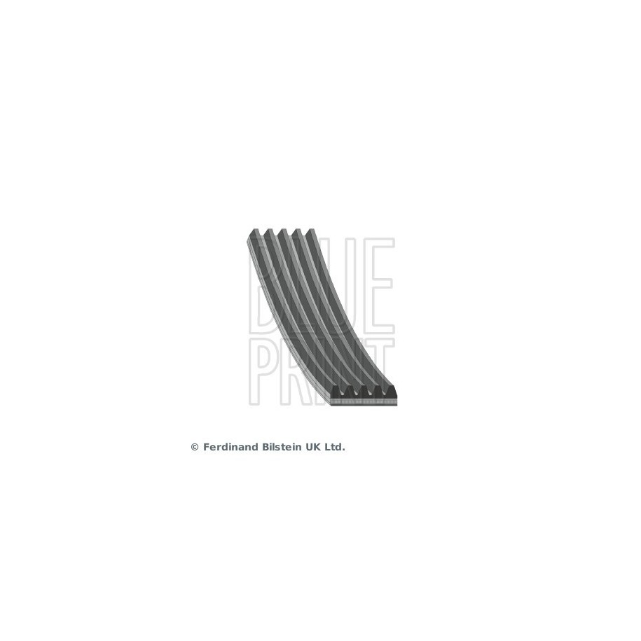 V-ribbed Belt BLUE PRINT AD05R1200 OE Ref 5750.D1 BLUE PRINT