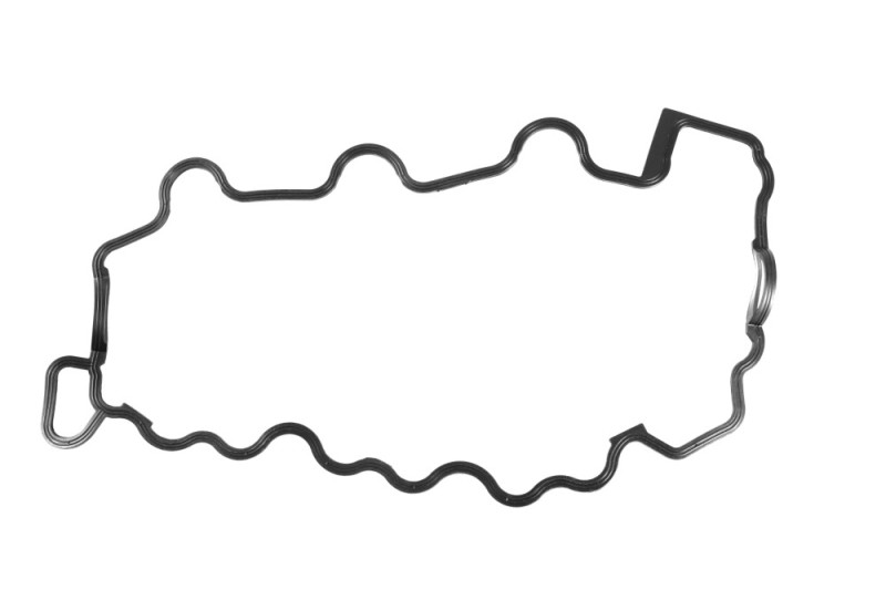 Cylinder Head Cover Gasket BOGAP C1118103 OE Ref 1120160321 BOGAP