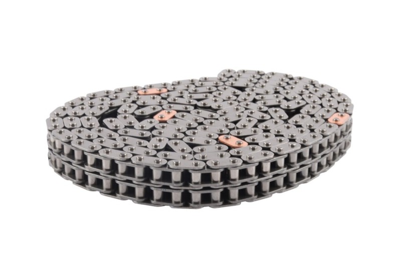 Timing Chain BOGAP C1310110 OE Ref 0009930676 BOGAP