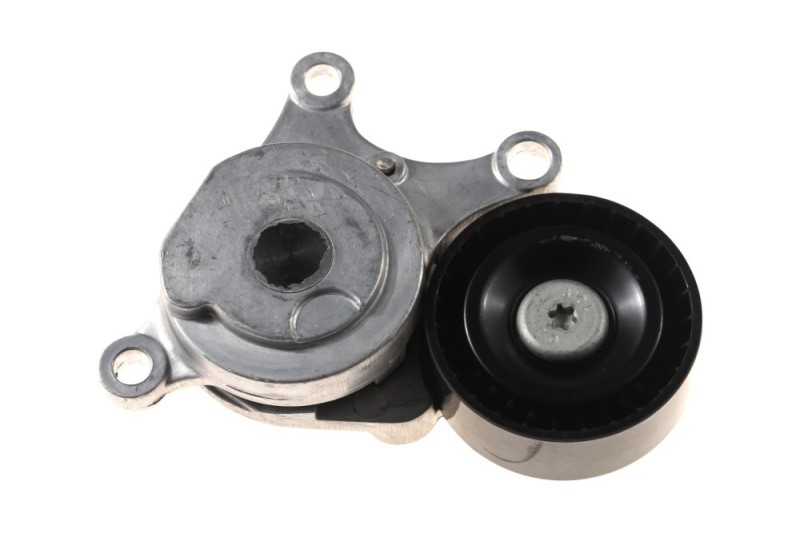 V-ribbed Belt Tensioner BOGAP C1317101 OE Ref 2702000070 BOGAP