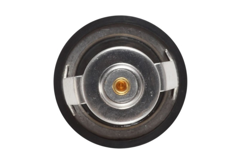 Coolant Thermostat BOGAP P4234116 OE Ref 133823 BOGAP