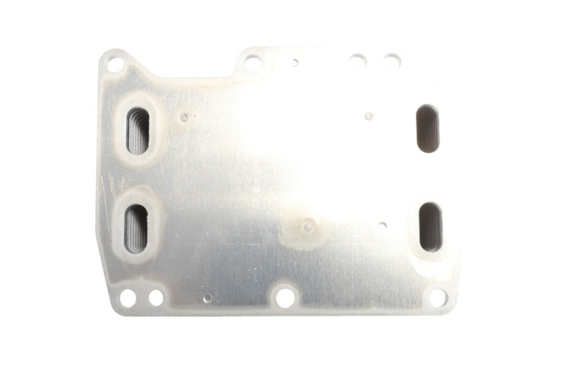 Engine Oil Cooler BOGAP R4222102 OE Ref 1520000Q0L BOGAP