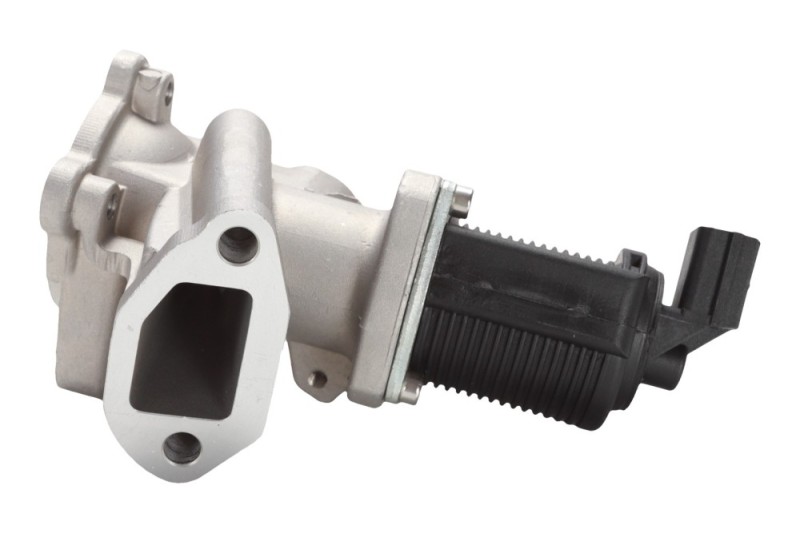 EGR Valve BOGAP W6320117 OE Ref 55206931 BOGAP