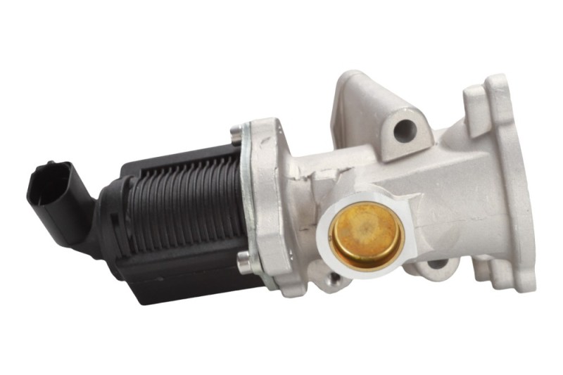 EGR Valve BOGAP W6320117 OE Ref 55206931 BOGAP