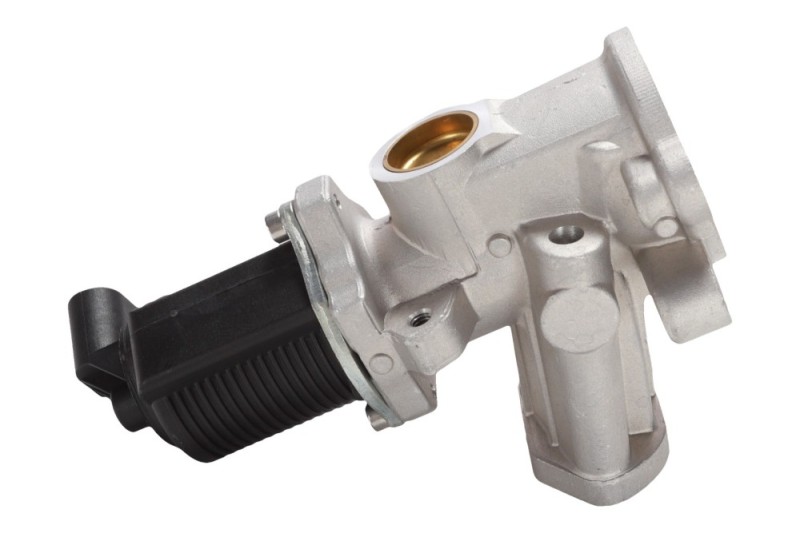 EGR Valve BOGAP W6320117 OE Ref 55206931 BOGAP