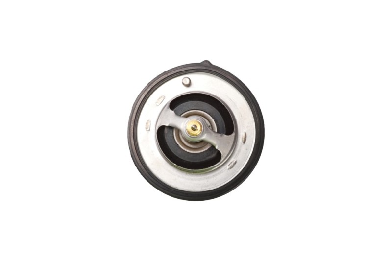 Coolant Thermostat BOGAP Y4245102 OE Ref 255002B000 BOGAP