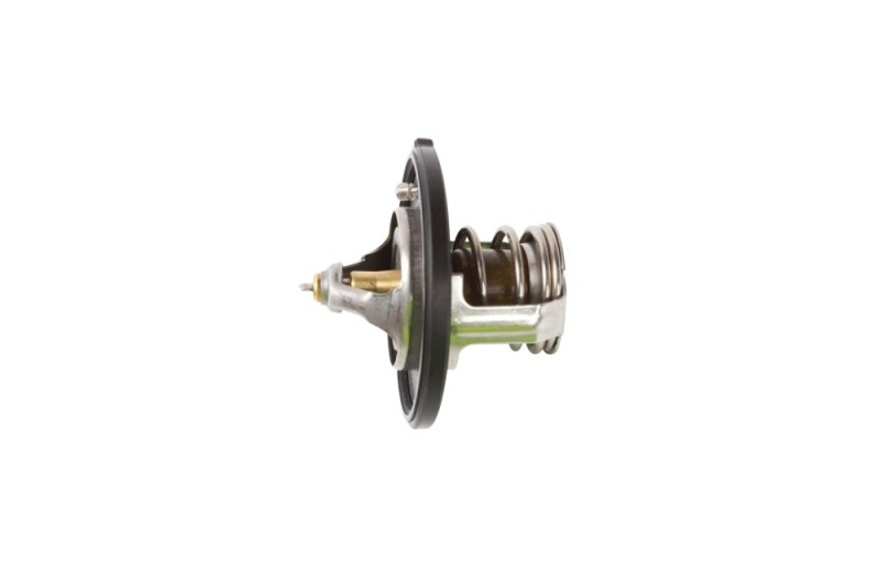 Coolant Thermostat BOGAP Y4245102 OE Ref 255002B000 BOGAP