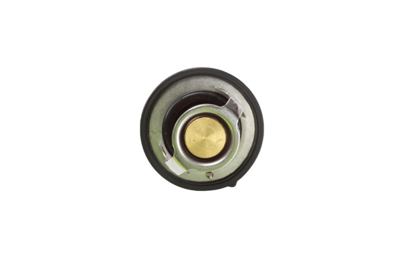 Coolant Thermostat BOGAP Y4245102 OE Ref 255002B000 BOGAP