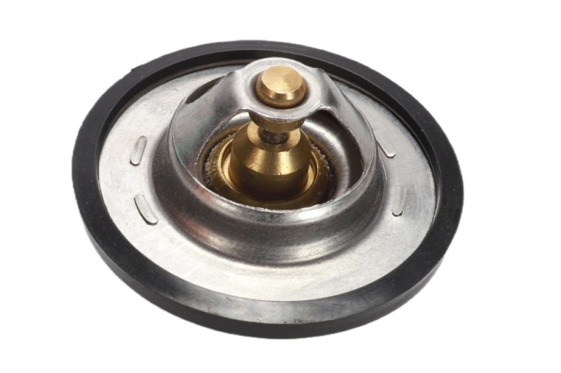 Coolant Thermostat BOGAP Y4245103 OE Ref 255002A100 BOGAP