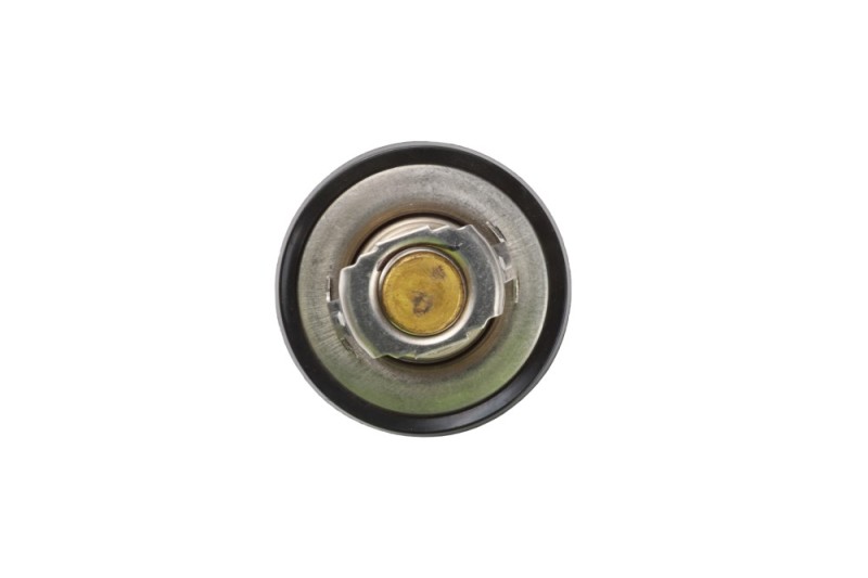 Coolant Thermostat BOGAP Y4245104 OE Ref 255002A000 BOGAP