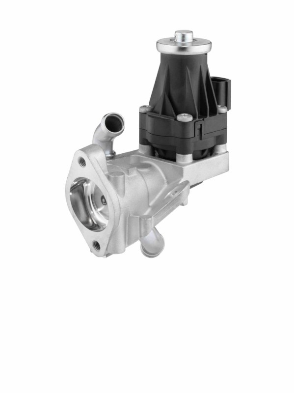 EGR VALVE BorgWarner 710979D OE Ref 1730360 BorgWarner