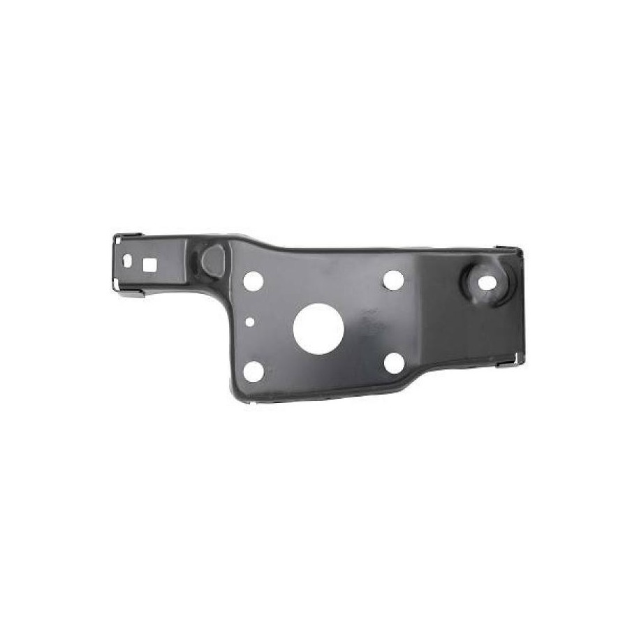 Panneau de capot avant 4098113 pour CITROËN, FIAT, VAUXHALL et plus encore... DIEDERICHS