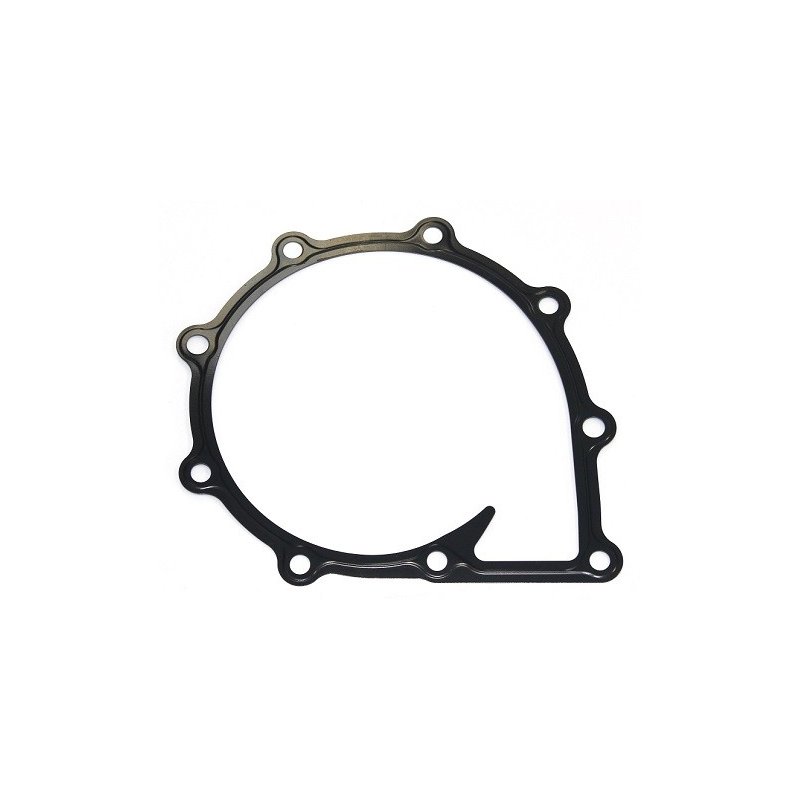 Joint de pompe à eau ELRING 021.250 pour BREDAMENARINIBUS, CAMC, ERF et plus encore... ELRING