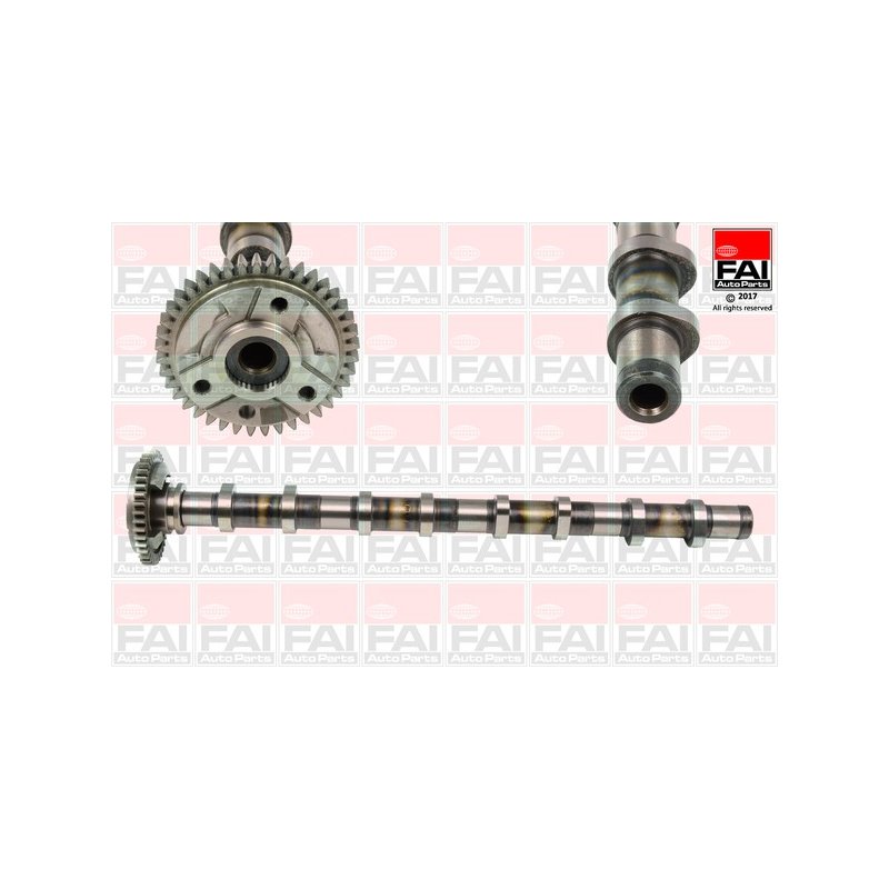 Camshaft FAI C381 OE Ref 11318509118 FAI
