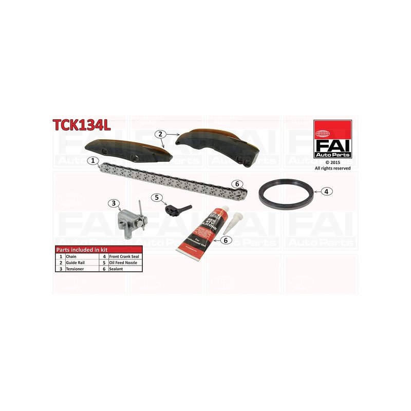 Timing Chain Kit FAI TCK134L OE Ref 13528572504 FAI