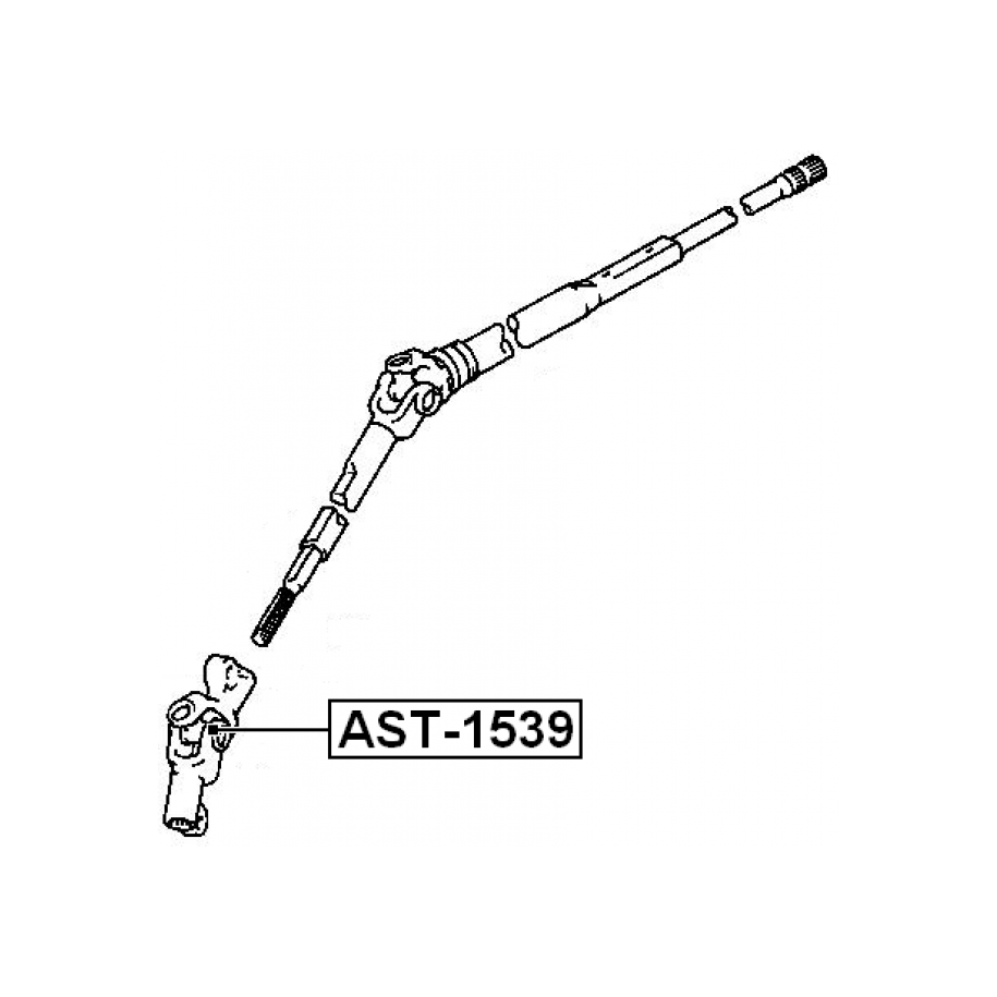 ast-1539-3.jpg