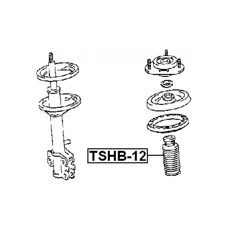 tshb-12-3.jpg