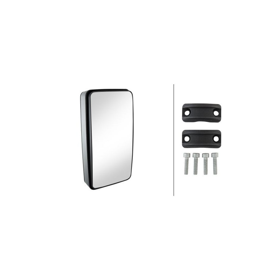 Exterior Mirror HELLA 8SB 501 325-002 OE Ref 81.63730.6314 HELLA