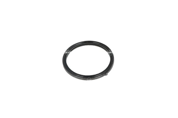 Coolant Thermostat NRF 725196 OE Ref 255002A100 NRF