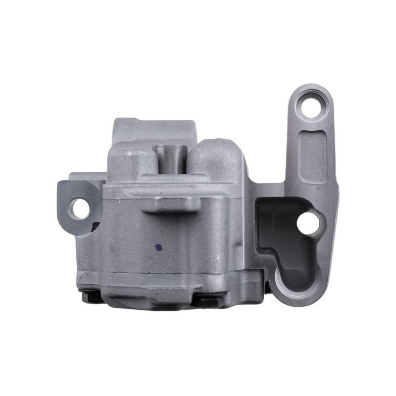 POMPE D HUILE Pour VW PASSAT B5 B6 2.0TDI 05-10, GOLF VI 2.0TDI 08-13 NTY