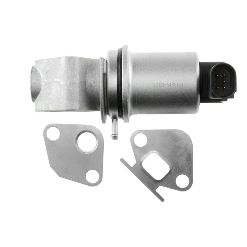 VANNE EGR EGR-SK-001 Pour SKODA FABIA 1.2 01- VW POLO 1.2 01- NTY
