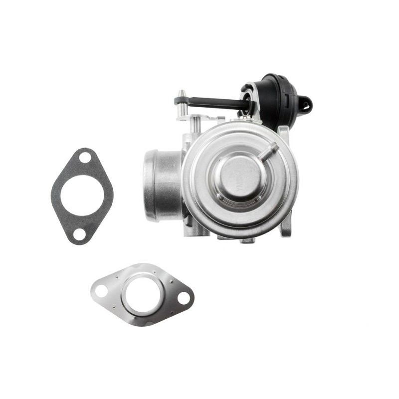 VANNE EGR Pour SKODA OCTAVIA 1.9TDI 03-, FABIA 1.9TDI 01- NTY