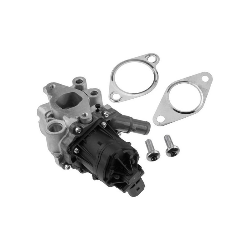 VANNE EGR EGR-VC-000 Pour ENG.2.3D 3.0D IVECO DAILY VI; 2016- NTY