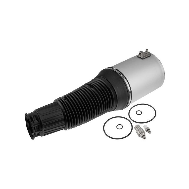 MIECH ZAWIESZENIA PNEUMATYCZNEGO Pour AUDI A8 S8(D3) 2002- NTY
