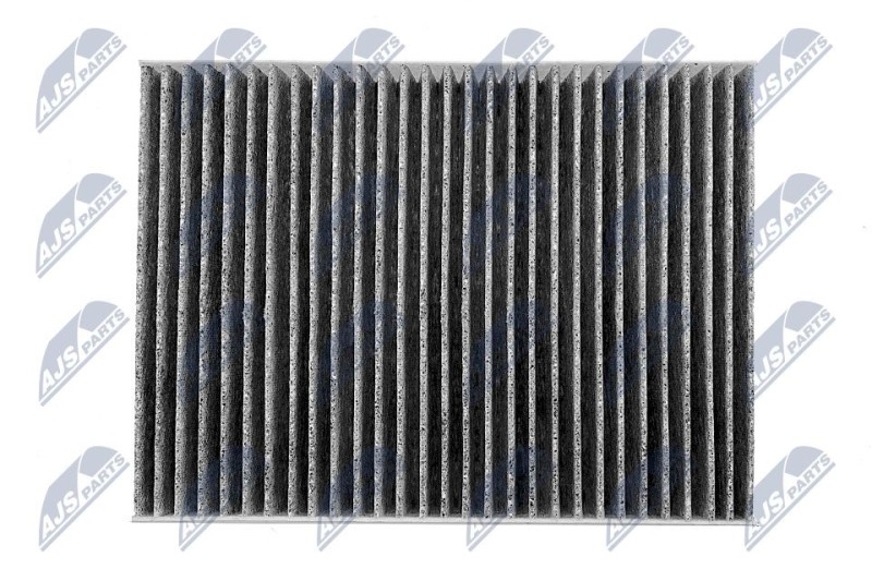 FILTRE D HABITACLE DE CARBONE Pour RENAULT MEGANE III 2.0TCE NTY