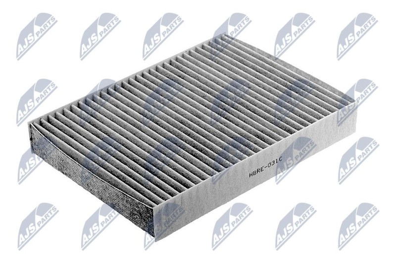 FILTRE D HABITACLE DE CARBONE Pour RENAULT MEGANE III 2.0TCE NTY