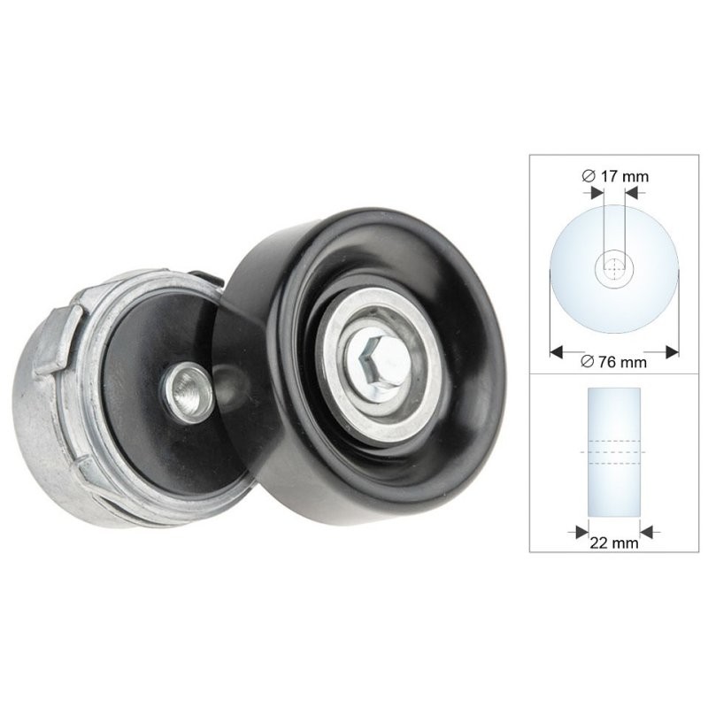 TENDEUR DE COURROIE POLY-V Pour CHRYSLER GRAND VOYAGER 3.3 96-00 NTY