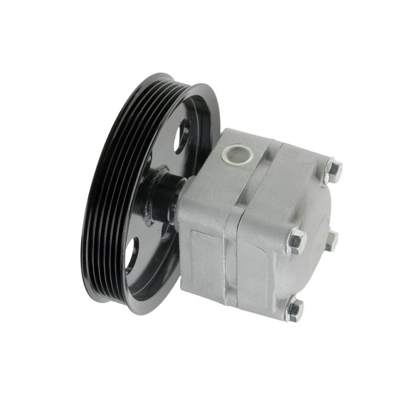 POMPE DE DIRECTION ASSISTEE Pour VOLVO S60 I 00-10, S80 I 2.4, 2.4T NTY