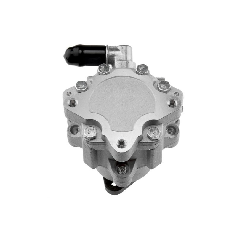 POMPE DE DIRECTION ASSISTEE Pour VW PASSAT 2.8 V6 97-05 NTY
