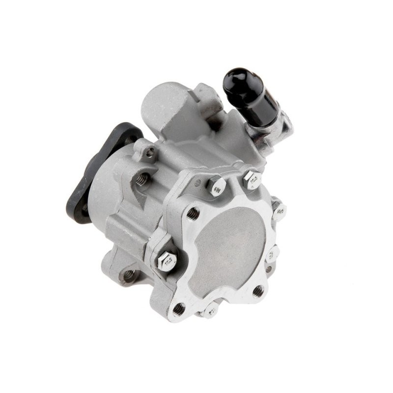 POMPE DE DIRECTION ASSISTEE Pour VW PASSAT 2.8 V6 97-05 NTY