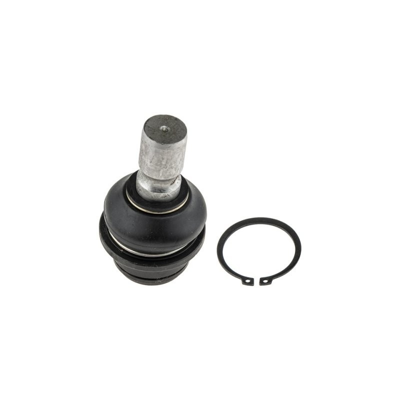 ROTULE DE Pour NISSAN PATHFINDER R51 05- ARRIERE INFERIEUR NTY