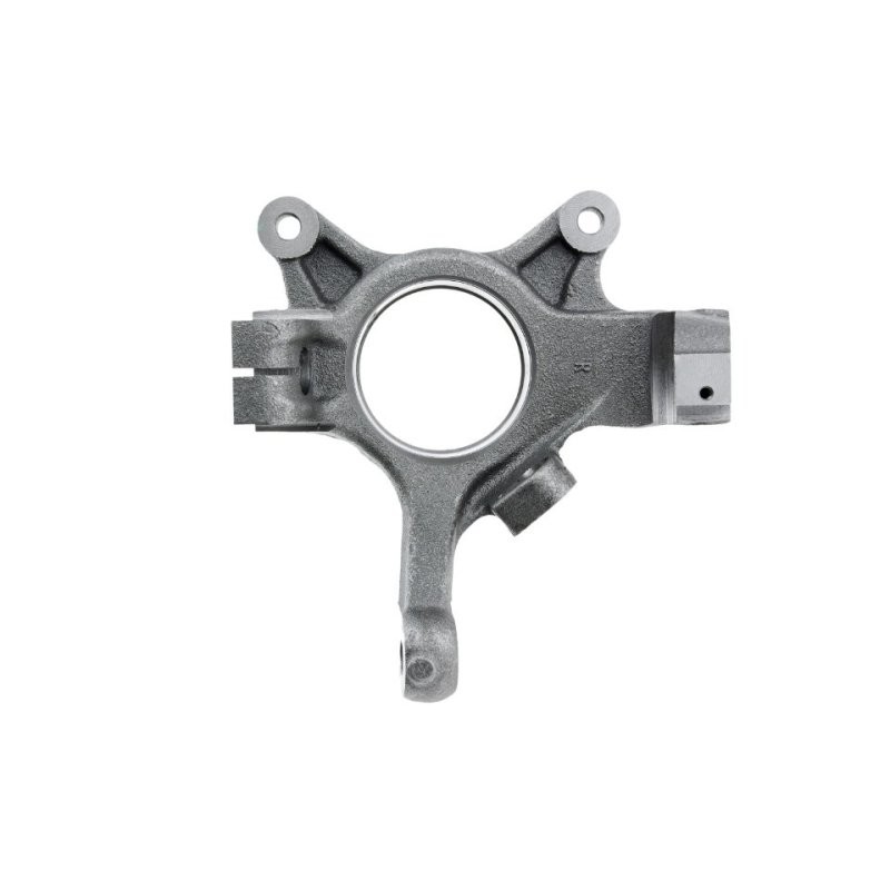 Steering Knuckle NTY ZZP-PL-001 OE Ref 8200642123 NTY