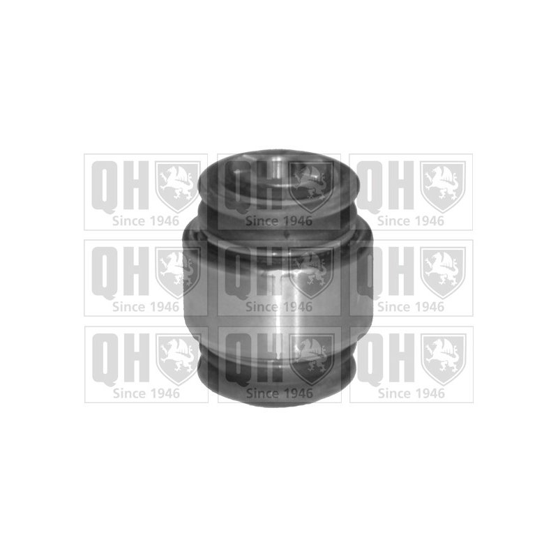 Control Trailing Arm Mounting QUINTON HAZELL EMS8133 OE Ref 33321140345 QUINTON HAZELL
