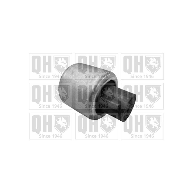 Control Trailing Arm Mounting QUINTON HAZELL EMS8345 OE Ref 31126770849 QUINTON HAZELL