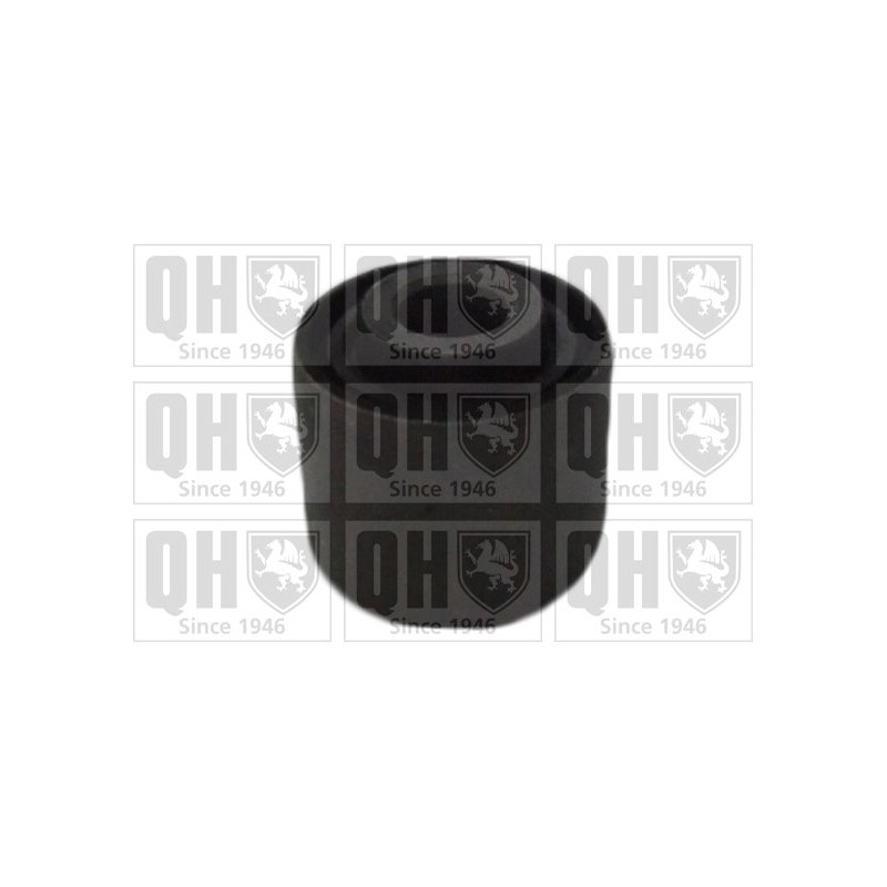 Control Trailing Arm Mounting QUINTON HAZELL EMS8377 OE Ref 1061659 QUINTON HAZELL