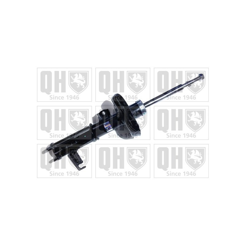 Shock Absorber QUINTON HAZELL QAG181033 OE Ref 13219125 QUINTON HAZELL