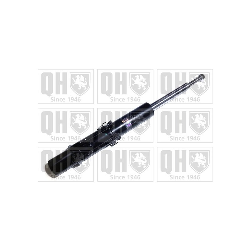Shock Absorber QUINTON HAZELL QAG181238 OE Ref 2E03413023 QUINTON HAZELL