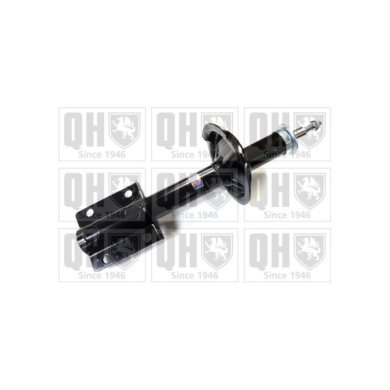 Shock Absorber QUINTON HAZELL QAG181348 OE Ref 1307633080 QUINTON HAZELL