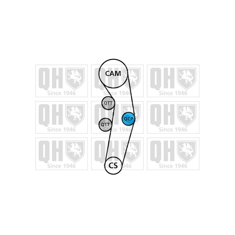 Timing Belt Kit QUINTON HAZELL QBK583 OE Ref 038198119 QUINTON HAZELL