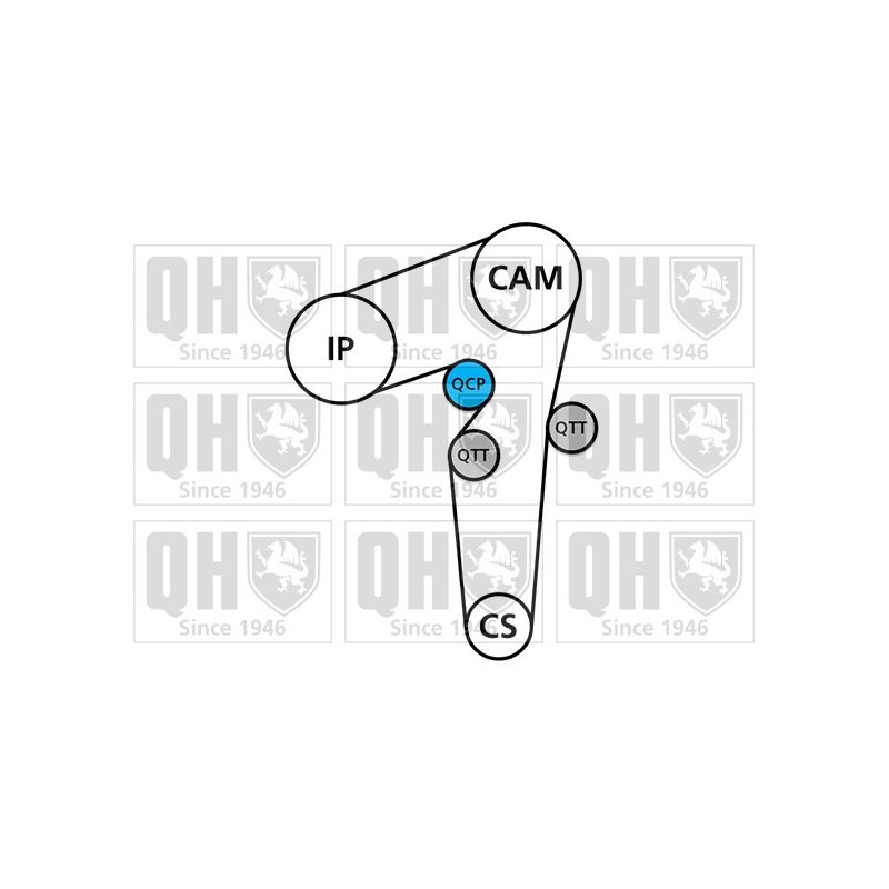 Timing Belt Kit QUINTON HAZELL QBK658 OE Ref 6606028 QUINTON HAZELL