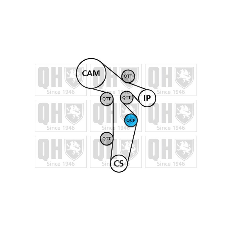 Timing Belt Kit QUINTON HAZELL QBK870 OE Ref 03L198119F QUINTON HAZELL