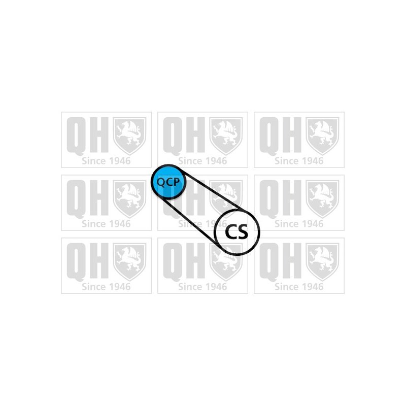 V Ribbed Belt QUINTON HAZELL QBR3576E OE Ref 9675874180 QUINTON HAZELL