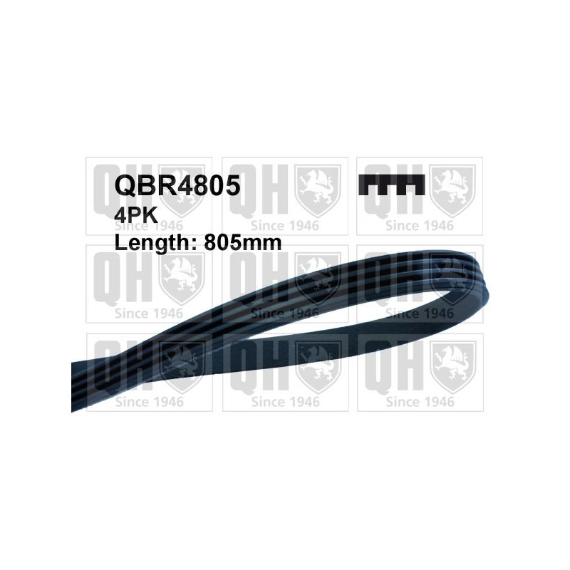 V Ribbed Belt QUINTON HAZELL QBR4805 OE Ref 11287570266 QUINTON HAZELL