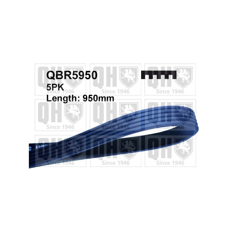 V Ribbed Belt QUINTON HAZELL QBR5950 OE Ref 11281433948 QUINTON HAZELL