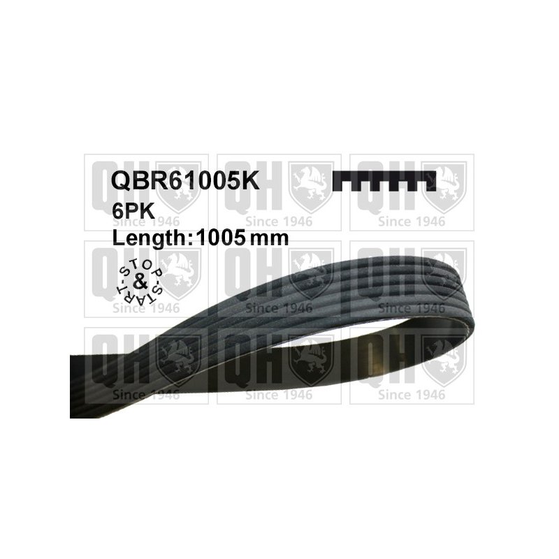 V Ribbed Belt QUINTON HAZELL QBR61005K OE Ref 9803757280 QUINTON HAZELL
